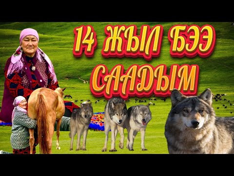 Видео: КЫМЫЗ ЖЫТТАНГАН КЫРГЫЗ ҮЙ-БҮЛӨСҮ...