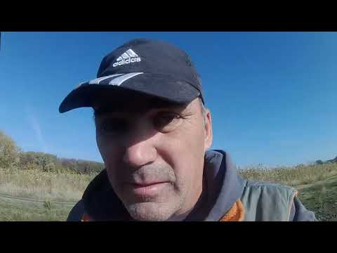 Видео: ОСЕННИЙ ПРИБОРНЫЙ ПОИСК
