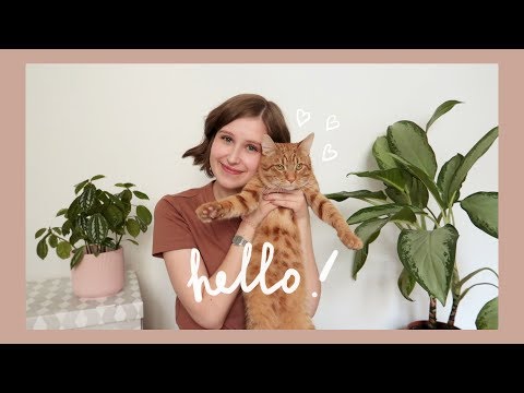 Видео: привет! 🌸