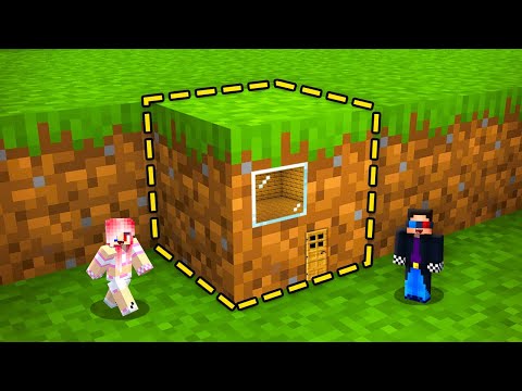 Видео: 🏠МЫ ПОСТРОИЛИ САМЫЙ МАЛЕНЬКИЙ ДОМ В МАЙНКРАФТ! ШЕДИ И ЛЕСКА MINECRAFT