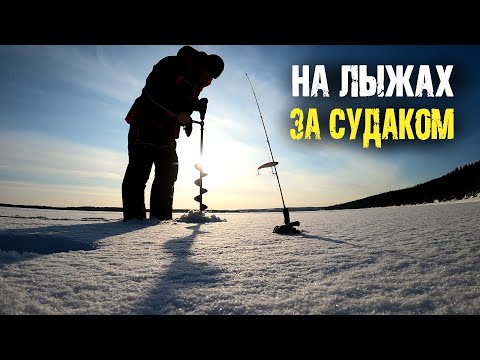 Видео: Где зимует судак?! Поиск судак в целине с эхолотом Практик 8
