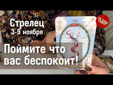 Видео: СТРЕЛЕЦ : Поймите ЧТО вас БЕСПОКОИТ! | Неделя 3-9 ноября 2025 таро прогноз