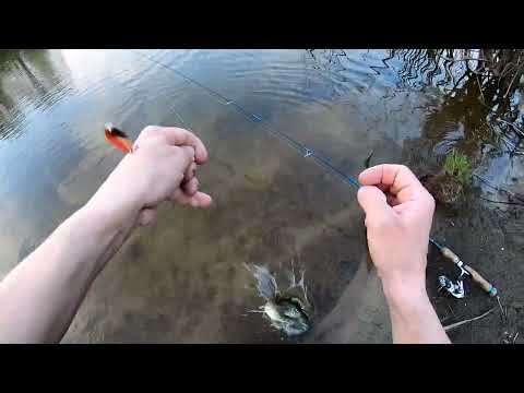 Видео: Самая уловистая блесна на щуку