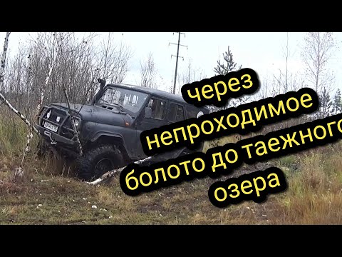 Видео: ПУТЕШЕСТВИЕ ПО ТУНДРЕ НА УАЗЕ ДО ОЗЕРА/ РЫБАЛКА / OFF ROAD/ #тайгахмао