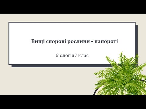 Видео: Вищі спорові рослини - папороті