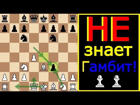 Видео: Гамбит Блэкмара-Димера: НАКАЗАНИЕ за незнание Дебюта!🚀