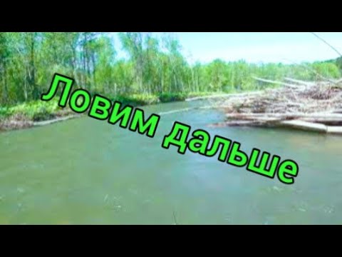 Видео: /СИМА 2022/ КРАЙНИЙ ДЕНЬ/Сахалинская рыбалка & Sakhalin fishing