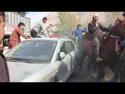 Видео: 26.10.2025 бузкаши шаҳри панчекент деҳаи Косатарош 🐎