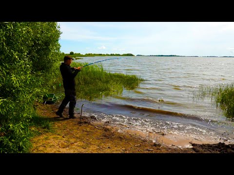 Видео: МОЩНЫЕ ПОКЛЕВКИ! Ловля КАРАСЯ ЛЕТОМ. Рыбалка с БЕРЕГА. Хорошая РЫБАЛКА 2022.