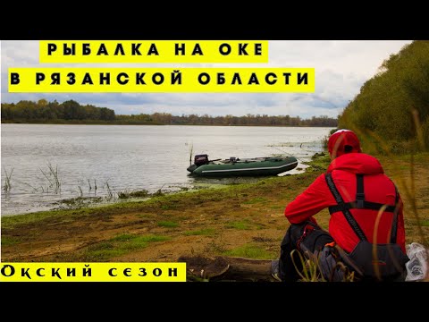 Видео: РЫБАЛКА на Оке в Рязанской области.  Ловля щуки. Ловля судака на Оке. Путешествия.