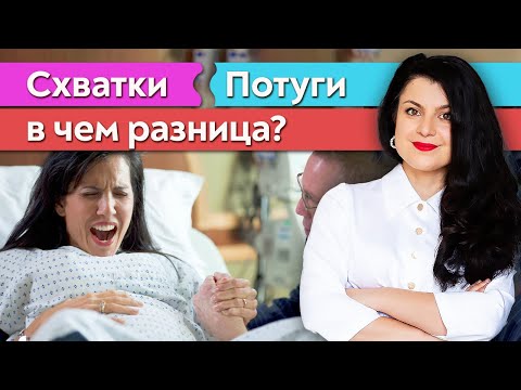 Видео: Чем отличаются схватки и потуги? / Как распознать схватки?