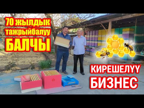 Видео: Токтогулда БАЛ ААРЫ 🐝 багабыз ~ Караганды үйрөтөм, пайдасы көп дейт