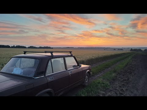 Видео: Приехал на выбитое поле рядом с жилой деревней. Мне говорили там и копейки не найти.