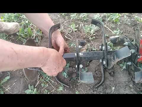 Видео: Культивируем седераты мотоблоком Brait 135GEDS заканчиваем посадку картофеля.