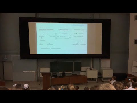 Видео: Гистология. Нервная ткань (Ч3)