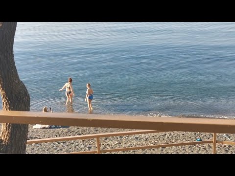 Видео: Анапа 7 декабря Отличный день ☀️Кормим Котиков 🐱