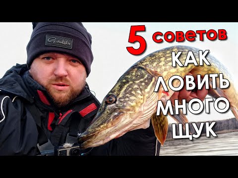 Видео: КАК ЛОВИТЬ МНОГО ЩУКИ ЗИМОЙ НА МАЛЫХ РЕКАХ! Рыбалка на щуку 2022. Ловля щуки на спиннинг