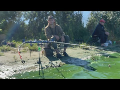 Видео: Я і неочікував такий шалений кльов. Роздача карася на фідер.