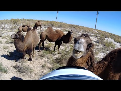 Видео: Как я один на Памирский тракт поехал. Мотопутешесвтие. Казахстан - часть 9