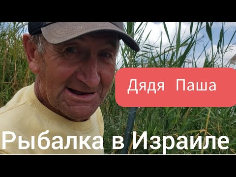 Видео: Тель-Авив/Яркон/Бури/Рыбалка