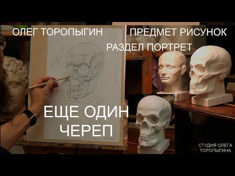 Видео: Еще один череп