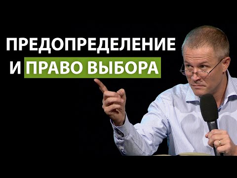 Видео: Александр Шевченко. Предопределение и право выбора.