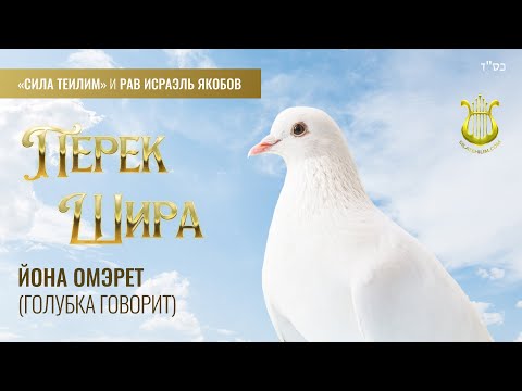 Видео: 🎻 Перек Шира. ГОЛУБКА говорит. Урок 34. Рав Исраэль Якобов