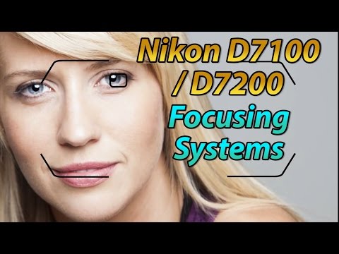 Видео: Учебное пособие по фокусировке на Nikon D7100 / D7200 / D7500 | Видеоурок по фокусировке