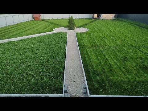 Видео: Газон из клевера. результат спустя 2 месяца.