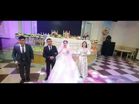 Видео: туй тюмень  04.08.22