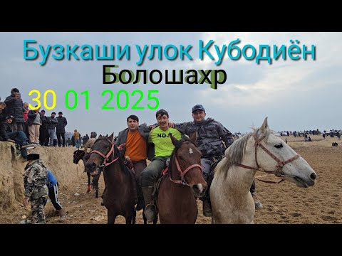 Видео: Улок Кубодиён Болошахр 30 01 2025 тез томошо кунед Узбекистон Тожикистон