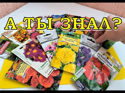 Видео: 8 ЦВЕТОВ, которые сеем на рассаду в НОЯБРЕ🌻🌻🌻