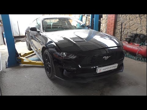 Видео: Замена задних тормозных колодок на Ford Mustang 2,3 Форд Мустанг 2022 года