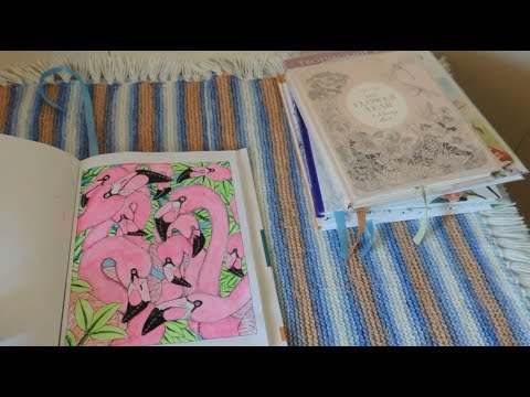 Видео: ЧЕЛЛЕНДЖ РАСКРАШИВАЮ 24 ЧАСА РАСКРАСКИ АНТИСТРЕСС// Акварелим целый день