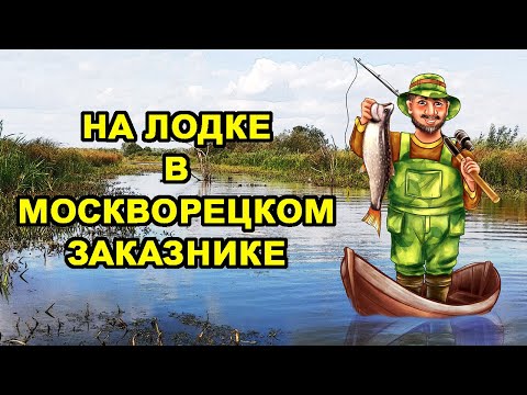 Видео: С лодкой в Москвореций заказник