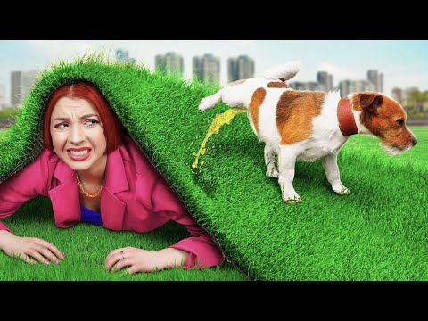 Видео: Играем В Прятки С Родителями || Моя Сестра Пропала