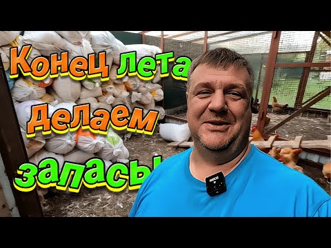 Видео: ВСЁ что хотел. ДАЧА