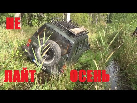 Видео: Нелайтовая осень