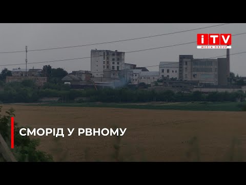 Видео: Сморід у Рівному - знайшли причини, але нікого не покарали