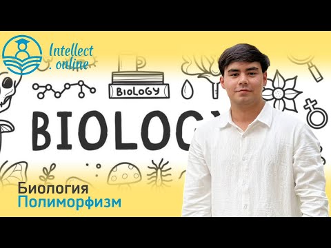 Видео: Биология | Полиморфизм |  Зоология часть 1