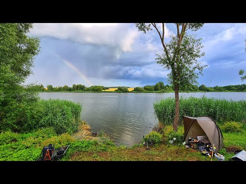 Видео: Секреты Ловли на Флэт Фидер: Тактика. Корм. Поводки. Насадки. Быт.