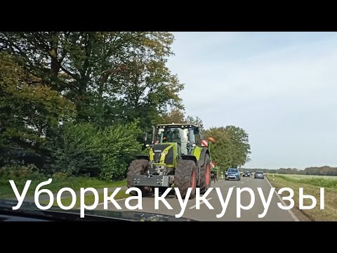 Видео: 🇩🇪 И СНОВА дорога/🚜 Уборочная/🍂 Октябрь