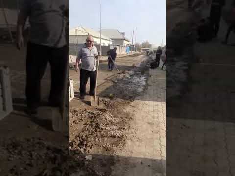 Видео: Келес ауданы кызыласкер ауылды мекени жамбыл кошесин лайын тазалаган тури 2 рет бирак тури мынау