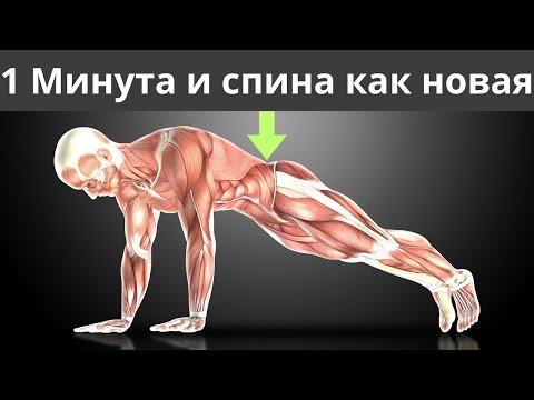 Видео: КАК ОДНА МИНУТА планки спасает спину от боли НАВСЕГДА