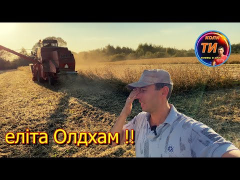 Видео: Розчарування року‼️або як впарюють сою еліту😡