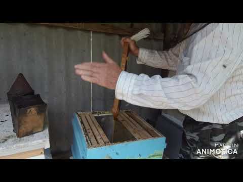 Видео: Скандинавский метод зимовки пчел.