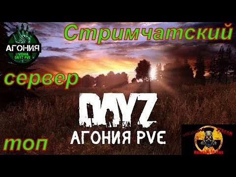 Видео: DayZ [RU] сервер Агония PVE 1 играем с другом Алексеем выполняем квесты Ангелов #SCUM#DayZ