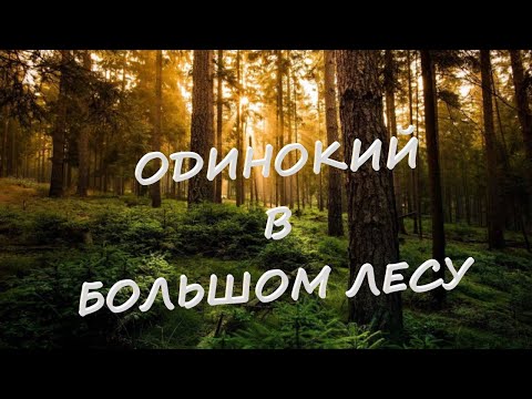 Видео: Большое лесное путешествие одинокого копаря!