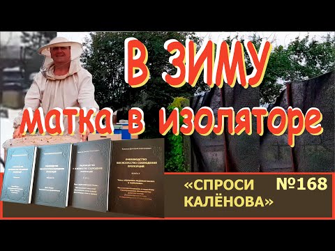 Видео: Центрирование Изолятора с Маткой при Формировании и Движении Клуба. Сохранение маток зимой."СК" №168