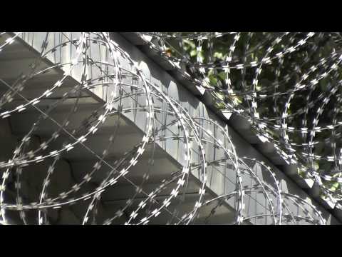 Видео: Егоза Казачка. Монтаж был произведен в Запорожье